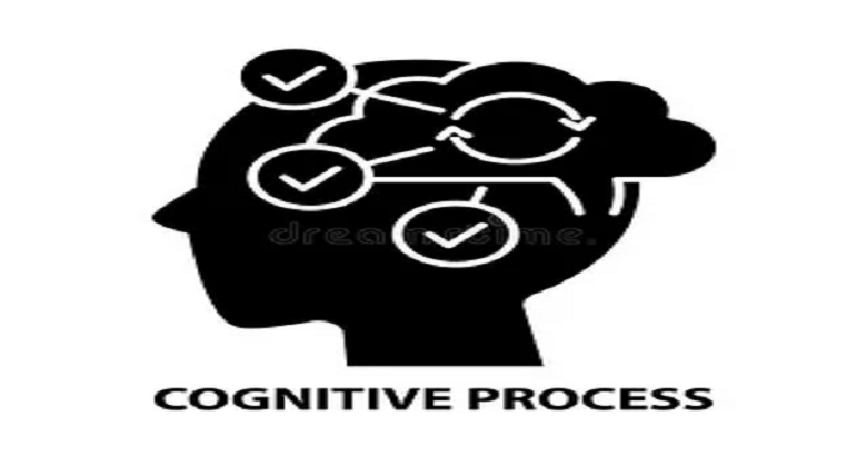 Cognitive Processes